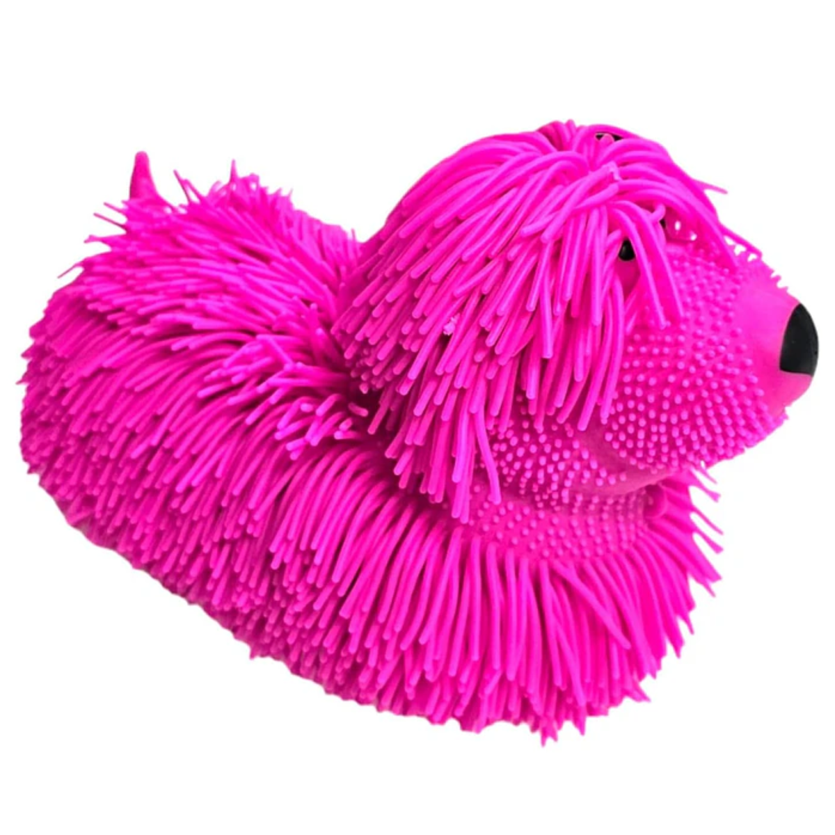 Perrito sensorial squishy